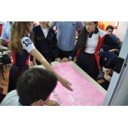 Jornadas Escuela, Familias y Comunidad